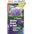 Produkt-Information 