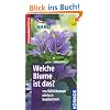 Welche Blume ist das?: 170 Wildblumeneinfach bestimmen. Typische Merkmale auf einen Blick