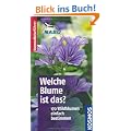 Welche Blume ist das?: 170 Wildblumeneinfach bestimmen. Typische Merkmale auf einen Blick
