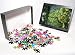 Photo Jigsaw Puzzle of ROG-6119 Organic Vegetable GARDEN - with Marigolds as companion planting from Ardea Wildlife Pets