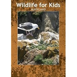 Wildlife for Kids
