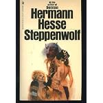 Steppenwolf book cover