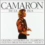 Great Masters of Flamenco, Vol. 15