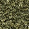 Coarse Turf, Burnt Grass