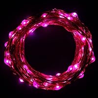 Innoo Tech ** LED Copper Wired String Light for Xmas, Birthday Party, Weddings and other Celebrations, power supply included(Pink)