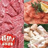 宮崎牛（牛肉/和牛）焼肉Aセット（3〜5人分用）