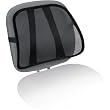 Fellowes  Office Suites Mesh Back Support (8036501)