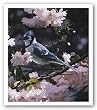 Visitor in Blue by Terry Isaac 14"x18" Art Print Poster