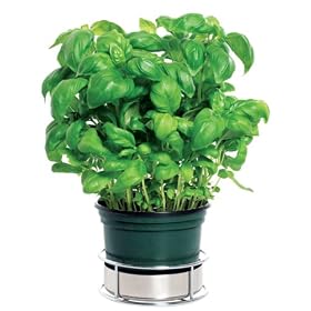 Twist 'N' Lock Kitchen Single Herb Holder