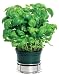 Image of Twist 'N' Lock Kitchen Single Herb Holder