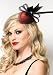Leg Avenue A1689 Retro Lurex Fascinator Hair Clip With Rhinestone And Feather (Red;One Size)