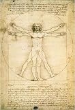 Anatomy - Artist: Leonardo Davinci - Art Print on Canvas - Image Size: 24.00 by 36.00 inches Art Print on Canvas