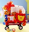 Baby Einstein Wild Wilderness Gift Basket - Great Gift