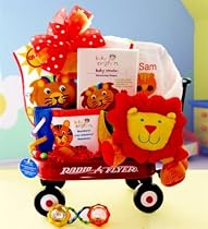 Wild Wilderness Baby Einstein Gift Basket