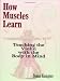 How Muscles Learn: Teaching Violin With The Body In Mind