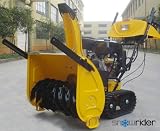 Benzin Schneefräse SG 110 E-Start Raupenantrieb Modell 2012 SOFORT