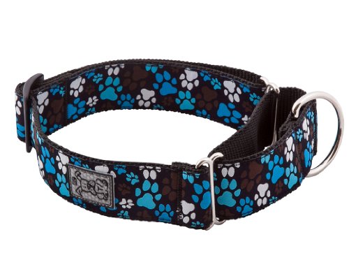 RC Pet Products 1-1/2-Inch All Webbing Martingale Dog Collar, Large, Pitter Patter Chocolate