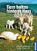 Tiere halten hinterm Haus: Gef