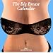 Big Breats Wall Calendar 2012 (Taschen Wall Calendars)