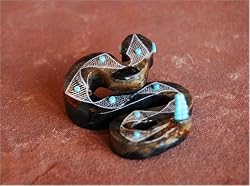 Snake by Louis Chavez