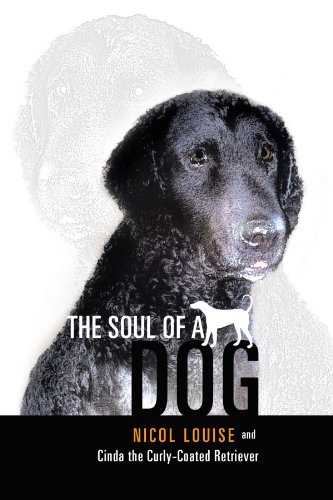 The Soul of A Dog