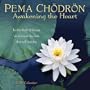 Pema Chodron 2010 Mini Calendar: Awakening the Heart