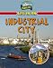 Life in an Industrial City (Learn about Urban Life)
