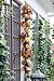 Autumn Gathering Garland