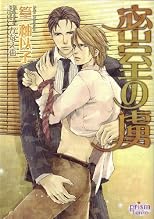 Caged Slave (Yaoi Novel)