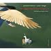 Der L�we, das Einhorn und ich