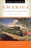 America: A Narrative History (Brief Eighth Edition)  (Vol. 2)