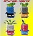 1 Grass Head! Color: Gray & Yellow - Stocking Stuffer Specials