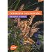 Gramin�es ornementales : 430 esp�ces et vari�t�s