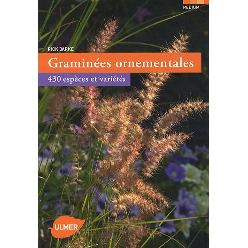 513zNolvvAL._SS500_.jpg