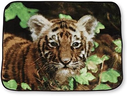 Shavel Horse in the Meadow Polyester Throw Blanket