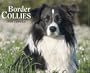 Just Border Collies 2008 Calendar