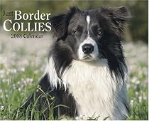 Just Border Collies Calendar