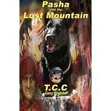 PashaandtheLostMountain