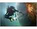 Photographic Print of Diver in caves. UK (RR) from Specialist Stock