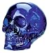Crystal Skulls - Blue Skull - Cold Cast Resin - 4.5" Height