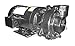 Dayton Cast Iron 3 HP Centrifugal Pump 208-230/460V, 2ZWR3