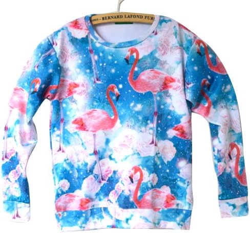 Unisex Sweater Galaxy Flamingo Sweatshirt Hoodies 3D T Shirts (S)