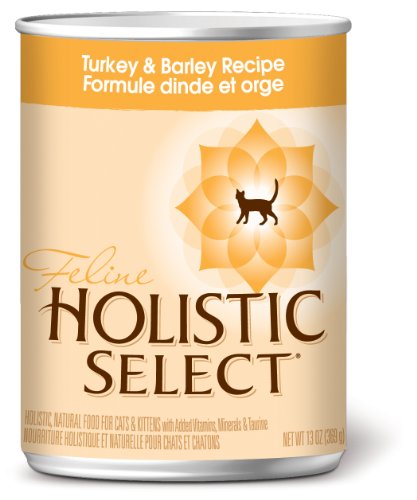 Holistic Select Turkey and Barley Recipe Canned 