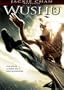 Wushu