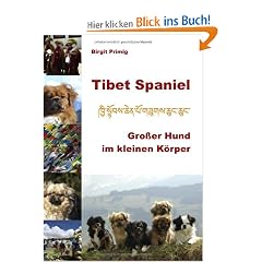 Tibet Spaniel: Gro�er Hund im kleinen K�rper