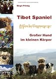 Tibet Spaniel: Großer Hund im kleinen Körper