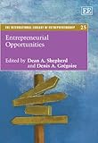 Entrepreneurial opportunities