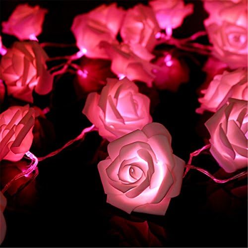 HEYDO,Lovely Romantic Pink Rose Fairy String Lights for Room Home Garden Christmas Party Decoration , wedding,girl birthday gift(Pink, 2.2m 20Leds)