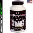BCAA 2250, das h�chst dosierte BCAAs-Supplement aus den USA. - f�r den Muskelaufbau -
