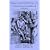 Tarascon Internal Medicine & Critical Care Pocketbook